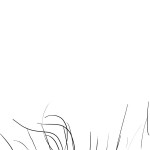 cropped-cropped-home6.jpg