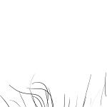 cropped-home6.jpg