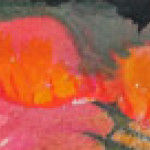 cropped-sq-3-Farhan´s.jpg